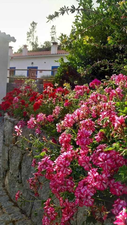 Quinta Da Idalina Villa Monchique Habitación foto